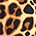 Contraband Pink Label 5297 Womens Design Series Leopard Print Lifting & Rowing Gloves (Pair) - Lightweight Vegan Medium Padded Microfiber Amara Leather w/Griplock Silicone (Orange/Black Small)