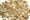 UKGE Kiddos Genuine Bag of Fossilized Shark Teeth