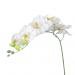 1 Piece Simulation Butterfly Orchid Artificial Flower Plant Home Decoration White