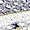 Vionic Agile FYN - Womens Athletic Sneakers Light Grey - 9