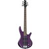 Ibanez GSR205 5 String Bass Guitar (Deep Violet)
