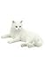 Unicorn Studio 5 3/4 Inch British Shorthair White Cat