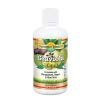 Dynamic Health Graviola Blend | Juice Formulated with 100% Organic Graviola, Mangosteen, Aloe Vera & Nopal | Vegetarian, Gluten-Free, BPA-Free | 32oz