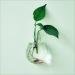 Waterdrop Shape Glass Wall Hanging Flower Vase Plant Bottle Home Decor