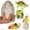 RI Novelty Hatchin' Grow Dino Pet Egg Hatch Kit - 1 Egg