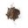 Anastasia Beverly Hills - Beauty Express Brow Kit - Brunette