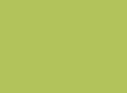 Samsonite Large Round, Vivid Green