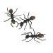 3Pcs Black Plastic Ant Joke Trick Toy