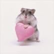 Hamster Love Husband Anniversary Card