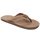 Rainbow Premier Leather Wide Strap Sandal - Kids' Dark Brown, 11.0-12.0