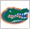 Team Golf NCAA Florida Gators Golf Umbrella 62