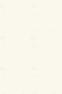 100% Wool Craft Felt - 8