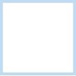 Stay-Rite Garment Shields (Medium, White)