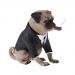 image for Unknown MagiDeal 1/6 Lovely Pug Dog Cigar Animal Model for 12'' Action