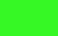Motex MX2200 florescent green Labels 16 rolls with ink roller by Teppis One