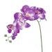 1 Piece of Artificial Simulation Butterfly Orchid Flower Plant - Rose red