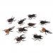 MonkeyJack 10pcs Vivid Plastic Animal Small Figure Toy Fake Insect Bug Beetles Model