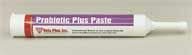 048653 Probiotic Plus Paste 300Ml