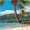 16 Month Wall Calendar 2019 Beaches. Each Month Displays Full-Color Photograph. September 2018 - December 2019 Planning Calendar