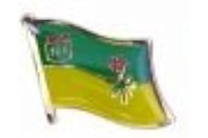 SASKATCHEWAN PROVINCIAL SMALL PIN LAPEL BADGE CANADIAN PROVINCE ... NEW