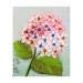 CUTICATE Pink Tone Flower Pattern Stamped Cross Stitch Kit Ribbon Embroidery Set for Beginner, DIY Home/Wall/Restaurant/Hotel Decor - 20x25cm/7.87x 9.84inch