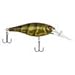 Berkley Bad Shad Fishing Bait