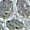 ASICS Women's Gel-Excite¿ 4 Mid Grey/White/Green 7.5 B US