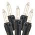Novelty Lights 34 Feet 100 Bulbs Traditional Incandescent Mini Lights, Clear on Black Wire with 4