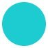 HICKIES 1.0 Elastic One Size Fits All Durable No-Tie Laces - Turquoise (14 Shoelaces, Works in all shoes)