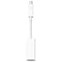 Apple Thunderbolt to Firewire Adapter
