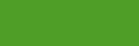 Createx Wicked Colors W016 Apple Green 2oz. water-based universal airbrush paint. by SprayGunner