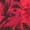 Jockey Women's Tops No Panty Line Promise Tactel Lace Camisole, Etched Rose, M