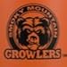 Smoky Mountain Growlers Stainless Steel Water Bottle Growler All-in-One 64 ounce (Orange)