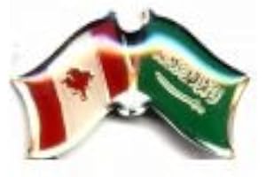 SUPERDAVES SUPERSTORE Saudi Arabia/Canada Country Flag Small Multicolor Unisex Lapel Pin Badge New