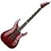 ESP Horizon NT II Standard Electric Guitar with Duncan Pickups and Hardshell Case - See Thru Black Cherry