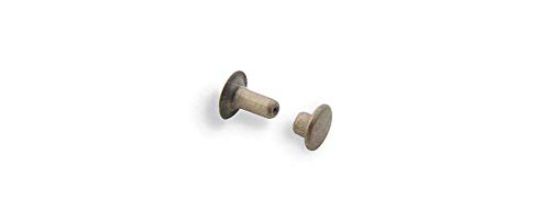 Tandy Leather Rapid Rivets Large Antique Brass Plate 100/pk 1275-15