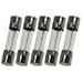 GMA 315mA 250v Fast Blow Fuses (0.315A), 5x20mm 5 Qty.