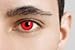 Women Multicolor Cute Charm and Attractive Fashion Contact Lenses Cosmetic Makeup Eye Shadow - Red Zombie with Contact Lens Case By Winis TM