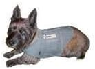 Thundershirt Extra Small Grey Thundershirt 10-18lb