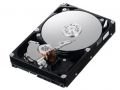 Dell Wd 250GB 7.2K RPM 3Gbp/s SATA 3.5 Inch Hard Drive H962f Wd2502abys-18b7a0 Dell Wd 250GB 7.2K RPM 3Gbp/s SATA 3.5 Inch Hard Drive H962f Wd2502abys-18b7a0