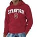 Campus Colors Stanford Cardinal Adult Arch & Logo Gameday Hooded Sweatshirt - Cardinal, X-Large