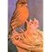 Canary Breeding by