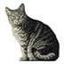 Manual Cat Shaped Pillow, 11 X 16-Inch