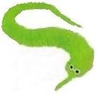 Magic Worm Creepy Crawly fuzzy insect TOY-neon green [Toy]