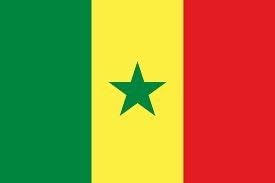 Drapeau Flag Senegal Senegalais 150 90cm Tissus 100 Polyester Neuf Amazon Fr Sports Et Loisirs