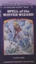 Spell of the Winter Wizard (Endless Quest, Book 11 / A Dungeons & Dragons Adventure Book) by Linda Lowery (1983) Paperback