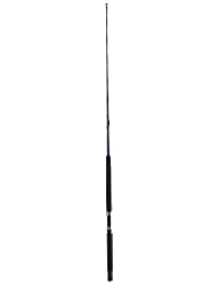 Shakespeare Tidewater Casting Rod