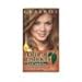 Clairol Natural Instincts 10 Sandalwood Dark Cool Blonde 1 Kit (Pack of 3) (packaging may vary)