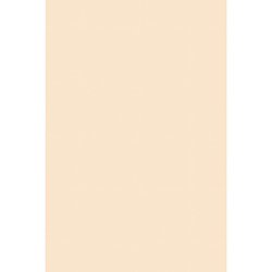 Pacon Poster Boards (PAC5126)