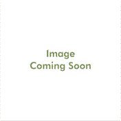 Godinger BANK NOTE CALENDAR